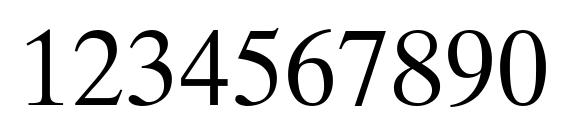 Times Ten Cyrillic Upright Font, Number Fonts