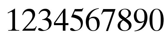 Times Ten LT Roman Font, Number Fonts