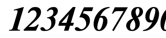 TimesDL Bold Italic Font, Number Fonts