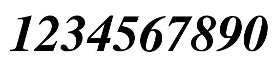 TimesLTStd BoldItalic Font, Number Fonts