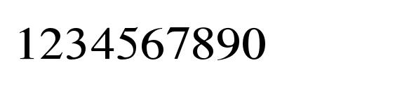 TimesLTStd Phonetic Font, Number Fonts