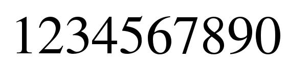 TimesLTStd Roman Font, Number Fonts