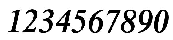 TimesLTStd SemiboldItalic Font, Number Fonts