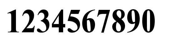 TimesNewRomanMTStd BoldCond Font, Number Fonts