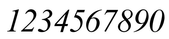 TimesNewRomanMTStd Italic Font, Number Fonts