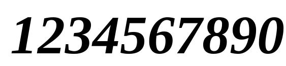 Tinos Bold Italic Font, Number Fonts
