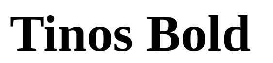 шрифт Tinos Bold, бесплатный шрифт Tinos Bold, предварительный просмотр шрифта Tinos Bold