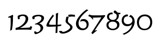 TiogaScript Light Regular Font, Number Fonts