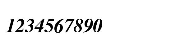 Tmsfb bolditalic Font, Number Fonts