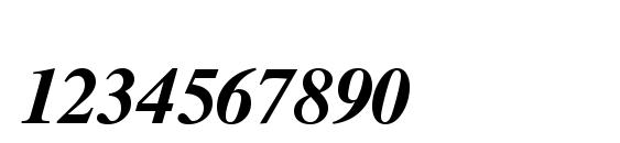Tmsfe bolditalic Font, Number Fonts