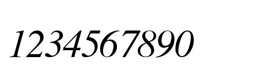 TmsFE Italic Font, Number Fonts