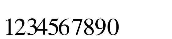 TmsFraction.e Normal Font, Number Fonts