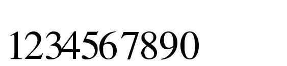 TmsFraction Normal Font, Number Fonts