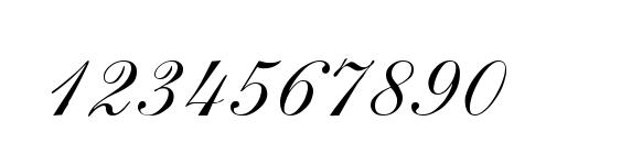TORPED Regular Font, Number Fonts