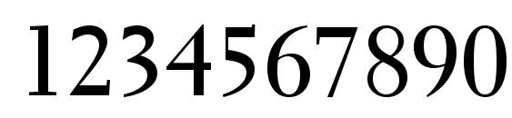 Transitional 521 Bold BT Font, Number Fonts