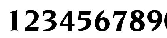 Trident SSi Bold Font, Number Fonts