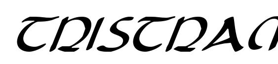 шрифт Tristram Italic, бесплатный шрифт Tristram Italic, предварительный просмотр шрифта Tristram Italic