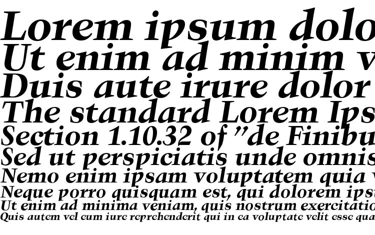 specimens Troubadour BoldItalic font, sample Troubadour BoldItalic font, an example of writing Troubadour BoldItalic font, review Troubadour BoldItalic font, preview Troubadour BoldItalic font, Troubadour BoldItalic font