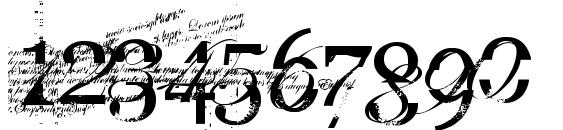 turbo ripped Font, Number Fonts