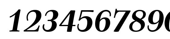 TusarText BoldItalic Font, Number Fonts