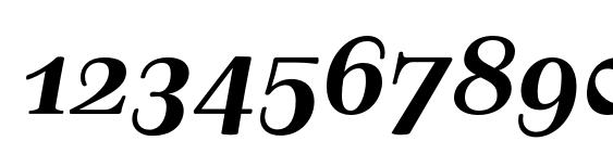 TusarTextOSF BoldItalic Font, Number Fonts