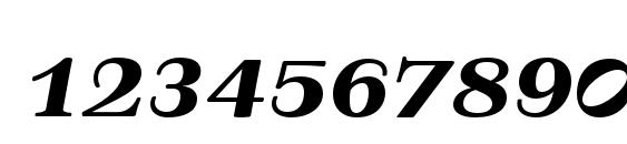 TusarTextSC BoldItalic Font, Number Fonts