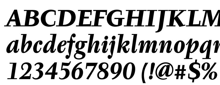 глифы шрифта Tyfa Text OT Bold Italic, символы шрифта Tyfa Text OT Bold Italic, символьная карта шрифта Tyfa Text OT Bold Italic, предварительный просмотр шрифта Tyfa Text OT Bold Italic, алфавит шрифта Tyfa Text OT Bold Italic, шрифт Tyfa Text OT Bold Italic