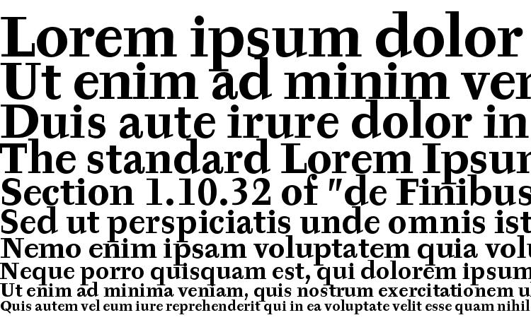 specimens Tyfa Text OT Bold font, sample Tyfa Text OT Bold font, an example of writing Tyfa Text OT Bold font, review Tyfa Text OT Bold font, preview Tyfa Text OT Bold font, Tyfa Text OT Bold font