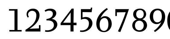 Tyfa Text OT Font, Number Fonts