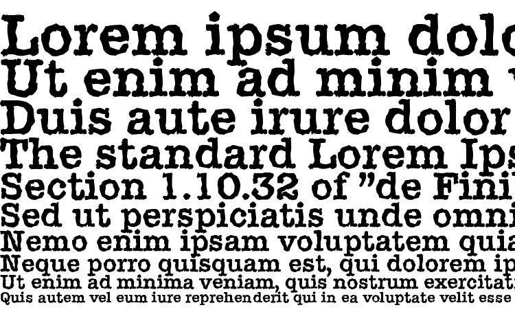 specimens TypewriterRandom Bold font, sample TypewriterRandom Bold font, an example of writing TypewriterRandom Bold font, review TypewriterRandom Bold font, preview TypewriterRandom Bold font, TypewriterRandom Bold font