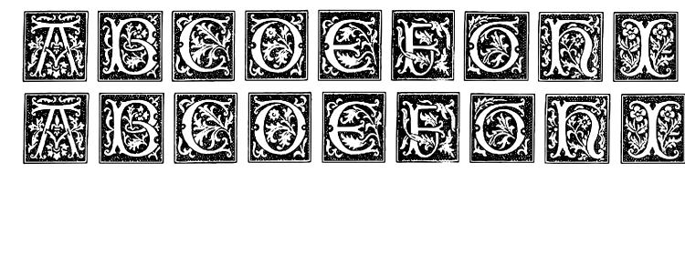 glyphs Typographerwoodcutinitialsone font, сharacters Typographerwoodcutinitialsone font, symbols Typographerwoodcutinitialsone font, character map Typographerwoodcutinitialsone font, preview Typographerwoodcutinitialsone font, abc Typographerwoodcutinitialsone font, Typographerwoodcutinitialsone font