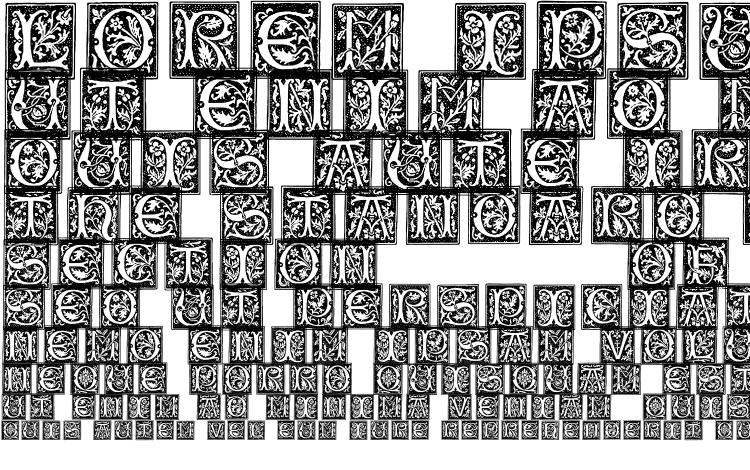specimens Typographerwoodcutinitialsone font, sample Typographerwoodcutinitialsone font, an example of writing Typographerwoodcutinitialsone font, review Typographerwoodcutinitialsone font, preview Typographerwoodcutinitialsone font, Typographerwoodcutinitialsone font