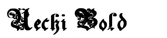 Uechi Bold font, free Uechi Bold font, preview Uechi Bold font