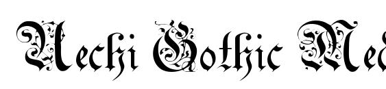 Uechi Gothic Medium Font