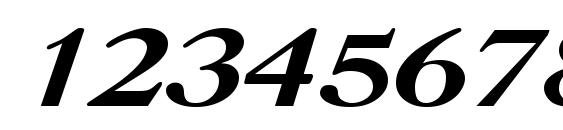 Uk Caslon Bold Italic Font, Number Fonts