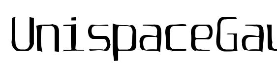 UnispaceGaunt font, free UnispaceGaunt font, preview UnispaceGaunt font