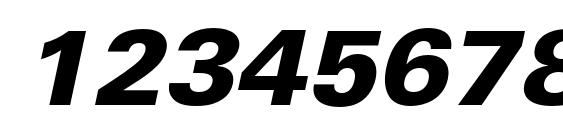 UniversLTStd BlackObl Font, Number Fonts