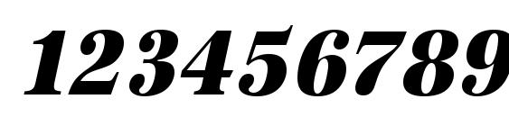 URWAntiquaTExtBolExtNar Oblique Font, Number Fonts