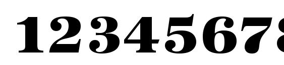 URWAntiquaTUltBolWid Font, Number Fonts