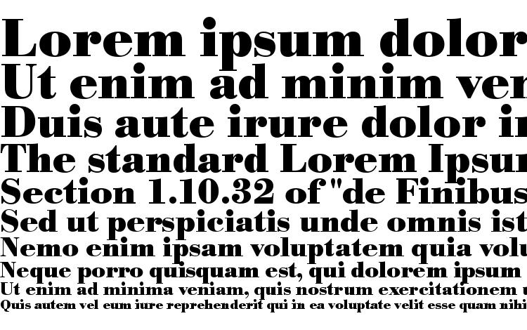 specimens URWBodoniT Bold font, sample URWBodoniT Bold font, an example of writing URWBodoniT Bold font, review URWBodoniT Bold font, preview URWBodoniT Bold font, URWBodoniT Bold font