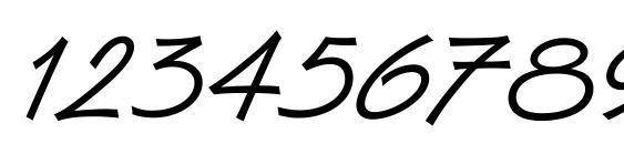 Van Dijk LET Plain Font, Number Fonts