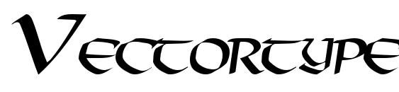 Vectortype124 regular Font