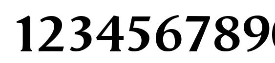 Vega antikva Bold Font, Number Fonts