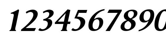 Vega antikva BoldItalic Font, Number Fonts