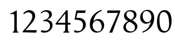 Vega antikva Font, Number Fonts
