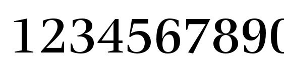 VeljovicStd Medium Font, Number Fonts