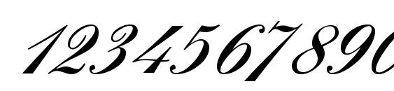 Venera Initial Font, Number Fonts