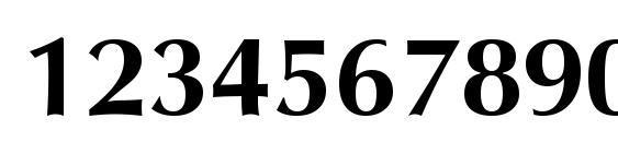 Vera Humana 95 Bold Font, Number Fonts