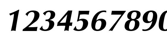 Vera Humana 95 BoldItalic Font, Number Fonts