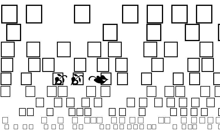 specimens Veracityornamentsssk regular font, sample Veracityornamentsssk regular font, an example of writing Veracityornamentsssk regular font, review Veracityornamentsssk regular font, preview Veracityornamentsssk regular font, Veracityornamentsssk regular font